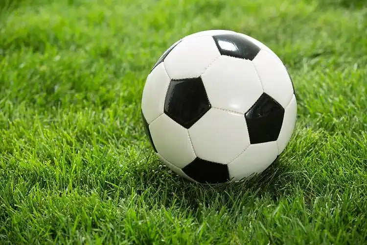 足球媒体工作者